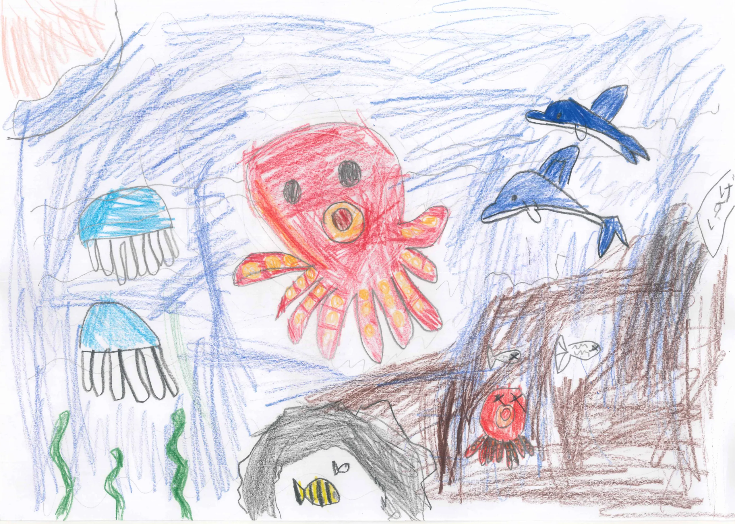 1年_関口 幸来 せきぐち ここ