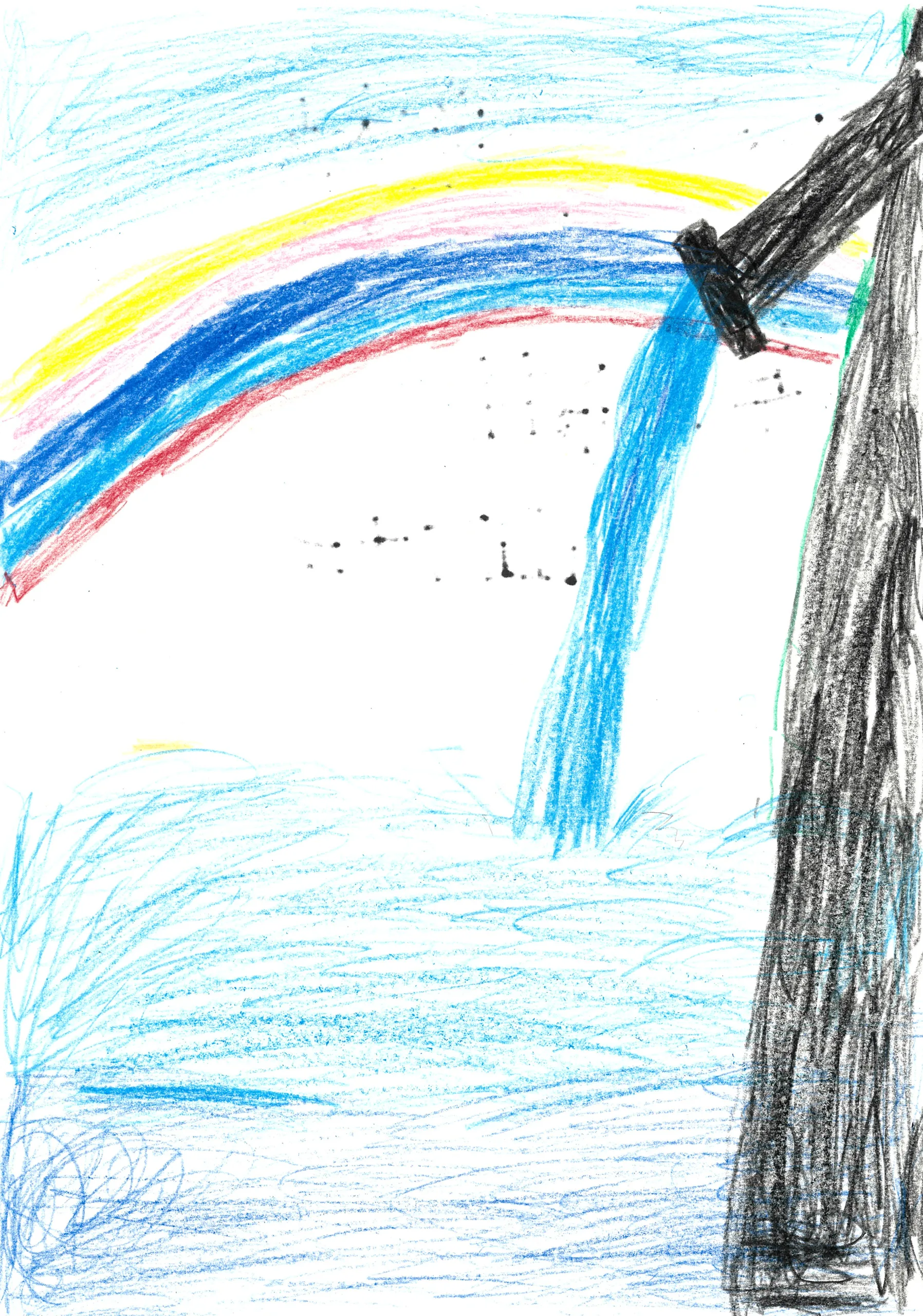 2年_山口 大智 やまぐち だいち