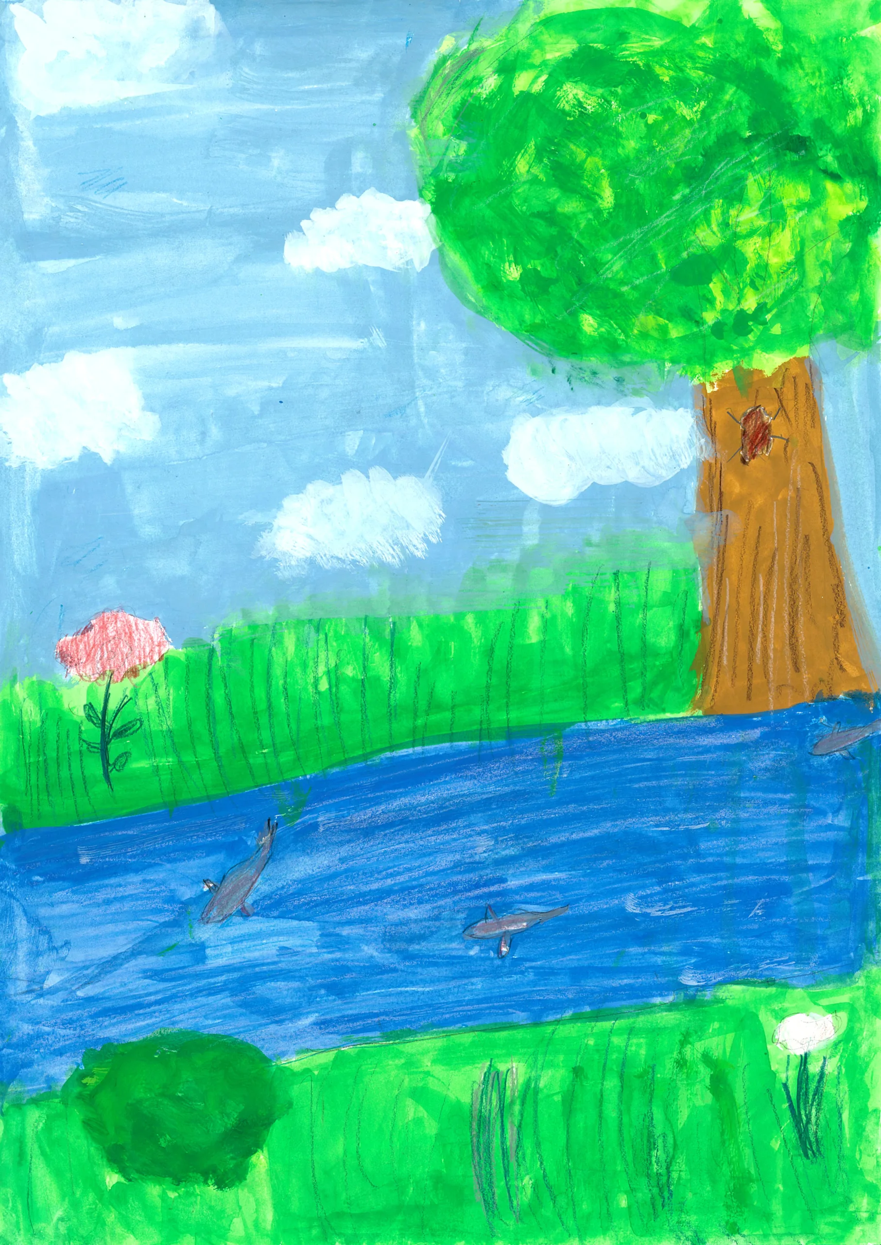 4年_小島 安莉 こじま あんり